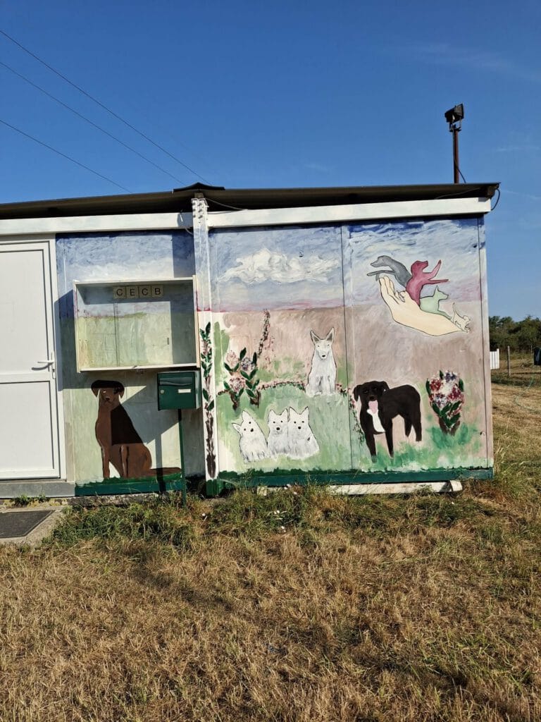 Fresque peinte sur le local du club : des chiens dans un jardin fleuri